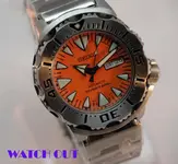 P1011402_zpsawufamb1.webp