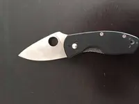 IMG_1234.webp IMG_1234.webp