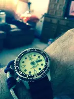 jsh7o1.webp