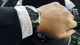 Pam 312.webp