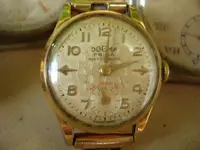 DSC00398.webp