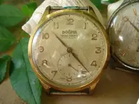 DSC00399.webp