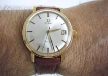 P1060390.webp