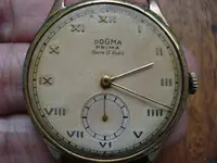 DSC00417.webp