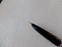 DSCF0732.webp