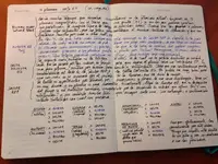 IMG_3186.webp IMG_3186.webp