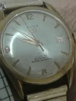 Flica2.webp
