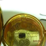 Voluntario Oro 3.webp