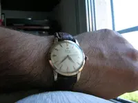 DSCN3466.webp