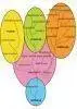 arbol5.webp