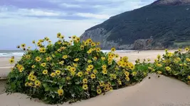 20160419_130730.webp