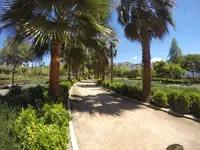 GOPR1021.webp