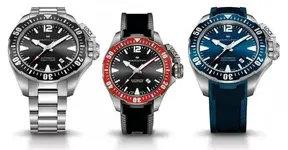 hamilton frogman.webp