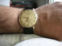 DSCN3483.webp