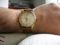 DSCN3485.webp