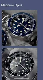01BE9976-32FF-4513-BD68-7689CCC9CEF7.webp
