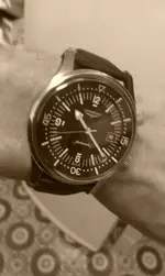 IMAG0073.webp