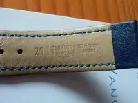 Hirsch 3.webp