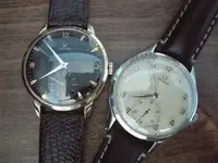 DSCN6606.webp