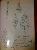 image.webp
