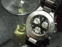 DSCN80341.webp