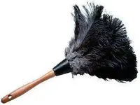 4630_L.webp