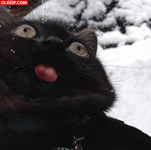 unnamed.gif