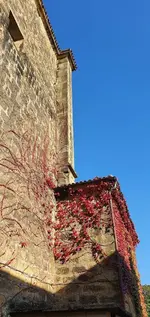 20211012_170320.webp