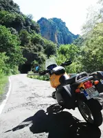 GS1150.webp