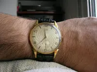 DSCN3495.webp