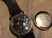 image.webp image.webp