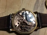 image.webp image.webp