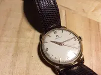 image.webp image.webp