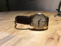 image.webp image.webp