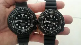 tunas.webp