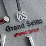 GSSD-close-up-1.webp