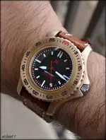 Nautilus II.webp