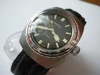 Vostock anphibia.webp