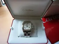 cartier roadster 011.webp