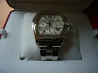 cartier roadster 022.webp