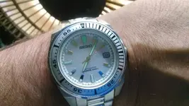 Seiko Samurai SNM009K (Albino)2.webp