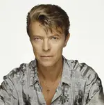 Festival-Marvin.webp