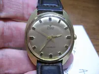 Stowa raro.webp