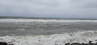 20220316_104541.webp