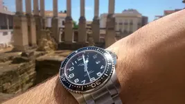 DSC_8603.JPG.webp DSC_8603.JPG.webp