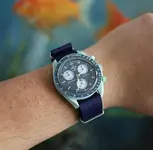 MOON NATO 2.webp