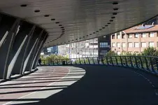 1808735048_762cbb4f64.webp