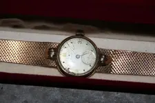 Zenitx 1A.webp