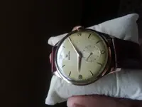 zenith 4.webp