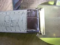 omega cosmic g.webp